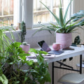 Air Purifying Plants: The Ultimate Home Office Upgrade for Online Business Success