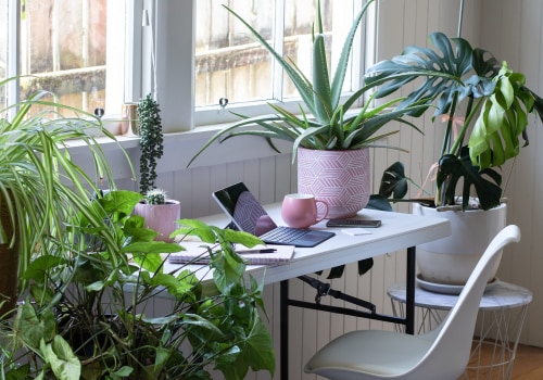 Air Purifying Plants: The Ultimate Home Office Upgrade for Online Business Success